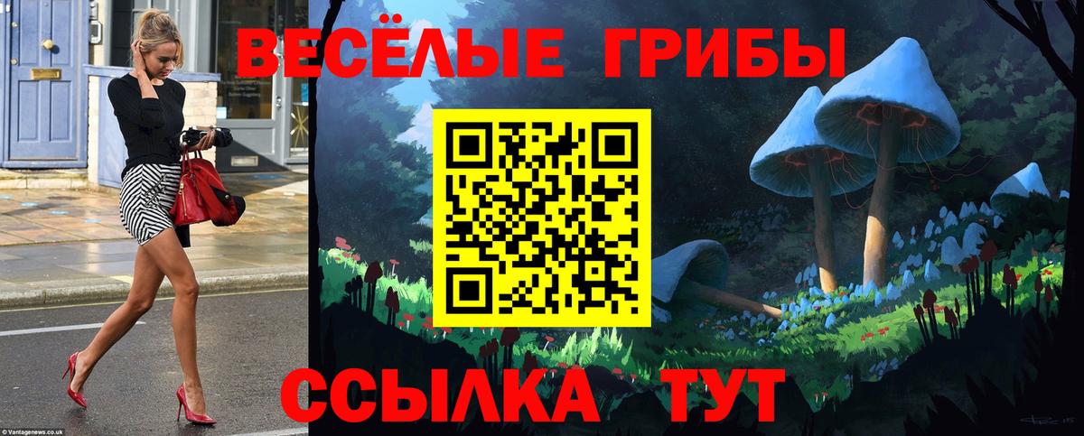 Энгельс  Галлюциногенные грибы Cubensis  Вход с VPN 