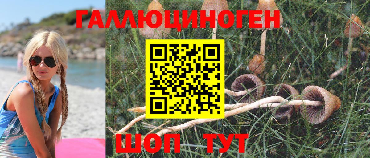 Псилоцибиновые грибы GOLDEN TEACHER Энгельс